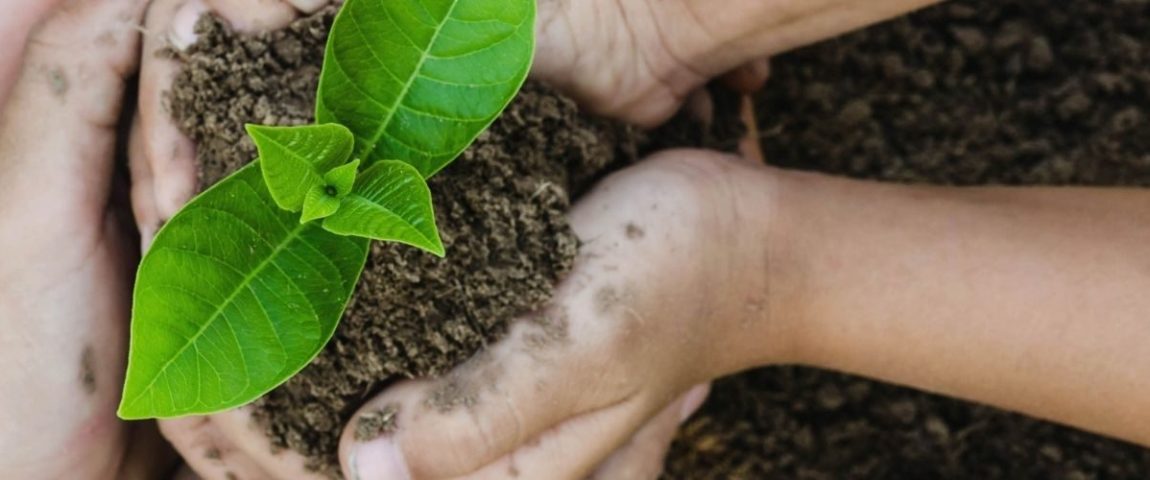 Eco-sostenibilità-Green-e1616753082488